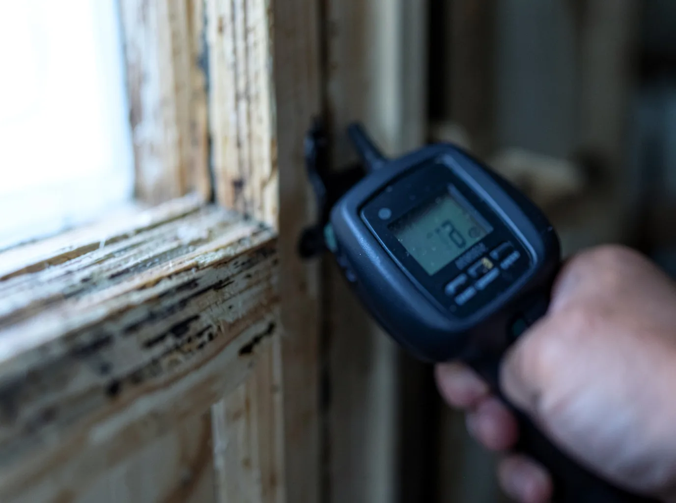 Commercial Water Damage Restoration in Clio, SC